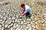 湖北干旱 2014年8月湖北多市出現嚴重干旱