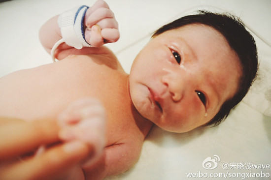宋曉波女兒出生了