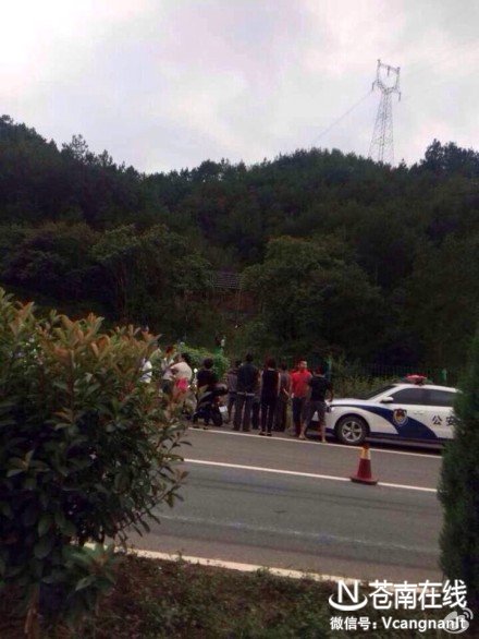 溫州蒼南姑娘在麗水失蹤已遇害