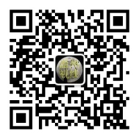 溫州視線官方微信