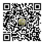 溫州視線官方微信：wzsx0577