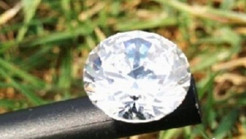 寵物犬撿到鉆石