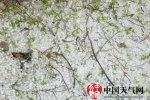 會寧秦安冰雹災害 4月20日甘肅會寧縣秦安縣遭遇強對