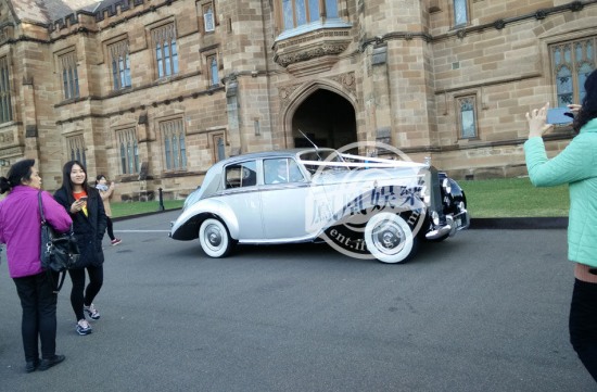 劉強(qiáng)東奶茶拍婚紗