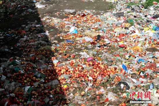 陜西多地油桃滯銷