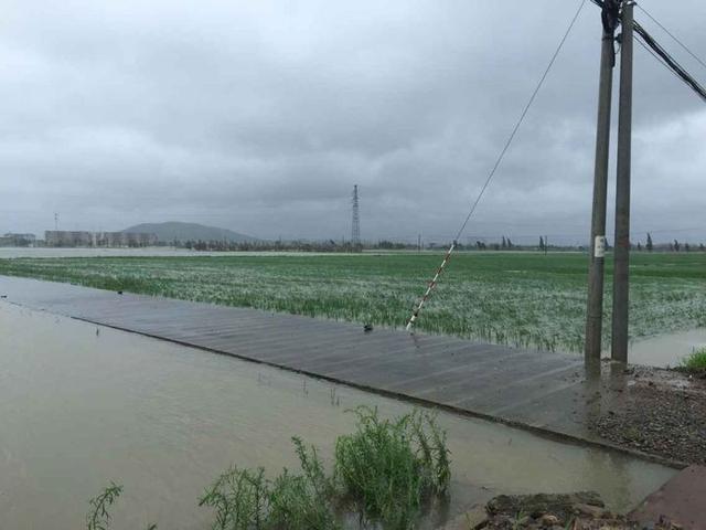 &ldquo;燦鴻&rdquo;造成寧波直接損失19.8億 受災人口34.5萬