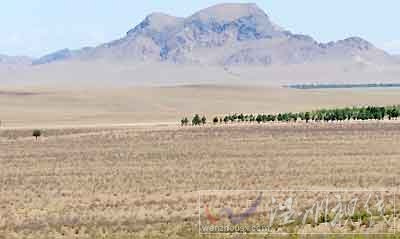 2015年內蒙古西部旱情嚴重