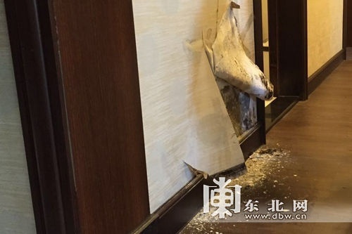 百萬精裝房長蘑菇