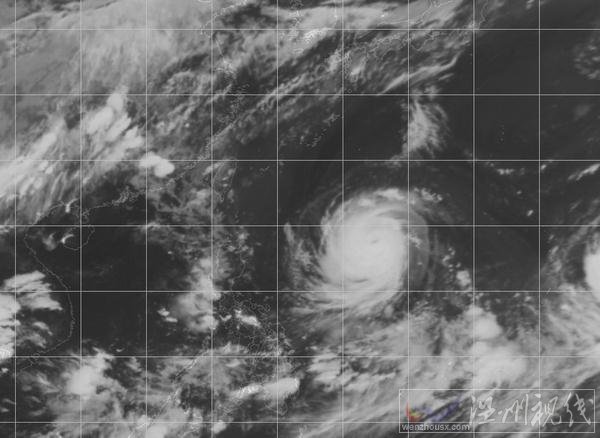 2015天鵝臺風海區紅外衛星云圖