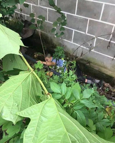 四川司機暴力抗法