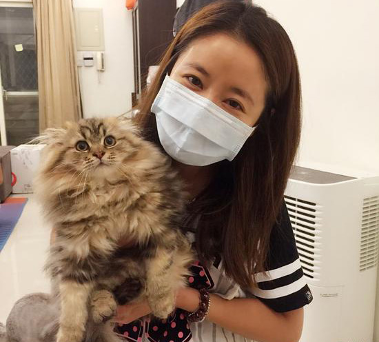 林心如曬懷抱小貓