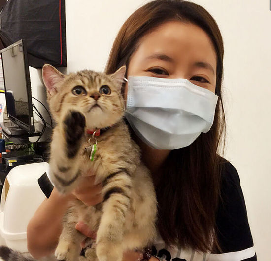 林心如曬懷抱小貓