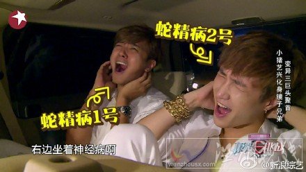 小豬模仿張藝興