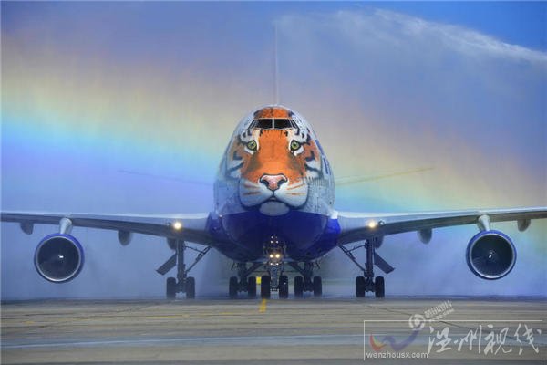 俄羅斯還有老虎日