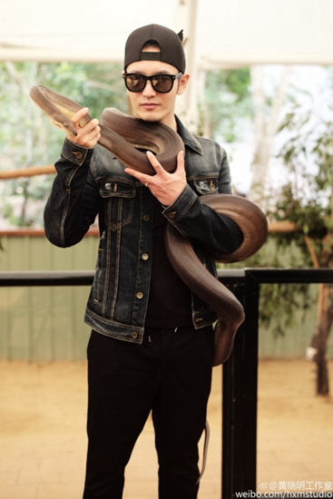 黃曉明懷抱考拉