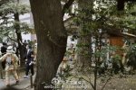 靖國神社爆炸 最新消息
