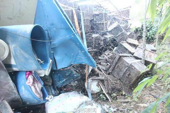 200萬蜜蜂堵國道