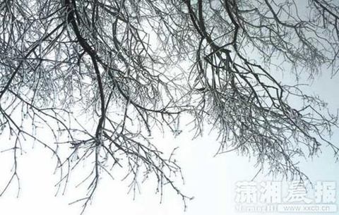 張家界天門山霧凇奇觀