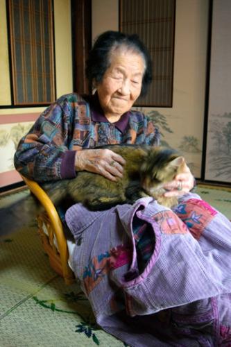 日本貓咪當信使