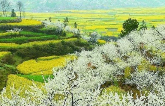 余杭鸕鳥鎮(zhèn)