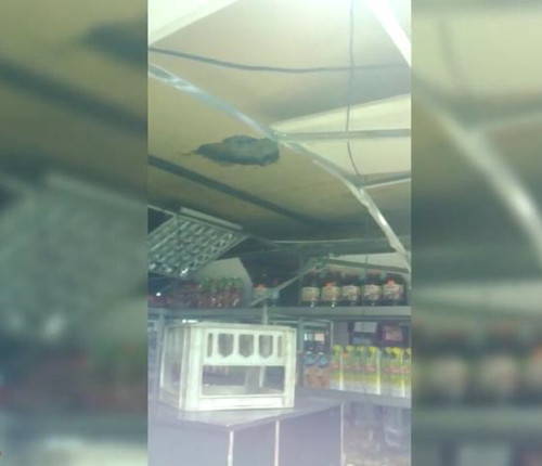 笨賊入室被卡屋頂