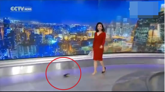 央視主播掉鞋淡定主持