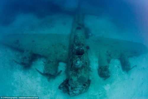 南太平洋海底發現二戰軍機