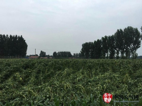 玉田縣大風天氣