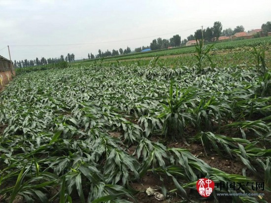 玉田縣大風天氣