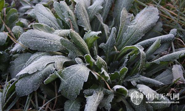 山西開啟冷凍模式 未來5天降溫幅度仍有8-10℃