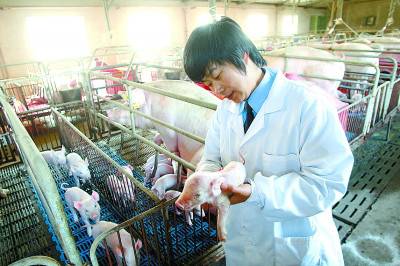 女警察轉崗成豬倌