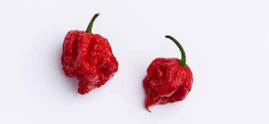 兩女生嘗試最辣辣椒辣吐