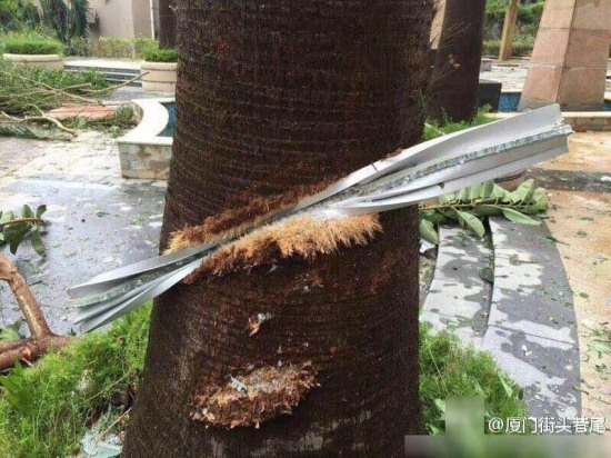 莫蘭蒂15級強臺風到底有多厲害