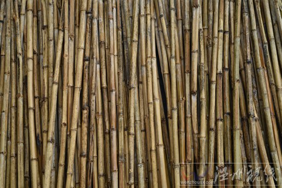 永嘉掃帚批發零售