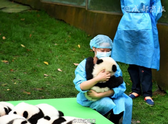 宇宙第一天團(tuán)萌癱