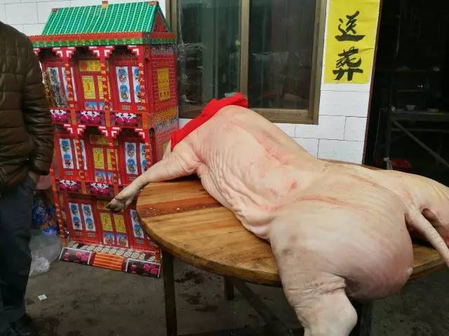 老人開(kāi)棺材板復(fù)活