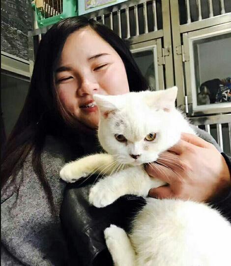 剝貓皮女子道歉 希望給活著的人一個改過的機會