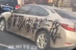 轎車遭噴字拖上街 多管別人家事的二貨