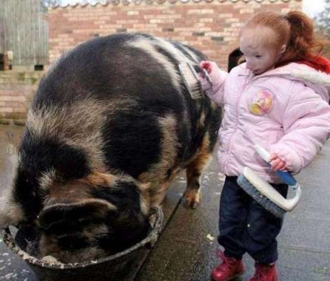 英國(guó)14歲姑娘比兔子小