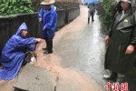 浙江16970人受災(zāi) 遂昌暴雨洪災(zāi)泥石流