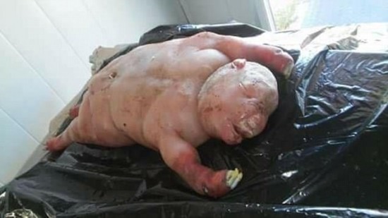 南非驚現半人半獸