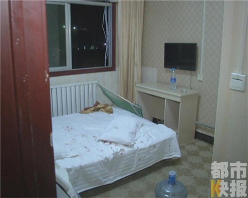 酒店枕頭驚現刺猬