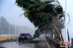 瑪莉亞臺風災情浙江比福建損失更大