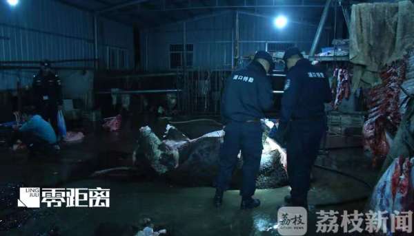 給活牛注水120斤 暗訪黑心屠宰場