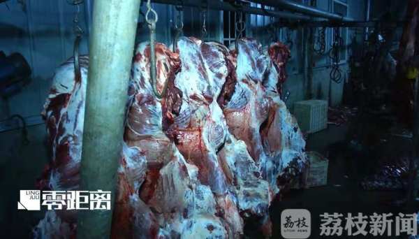 給活牛注水120斤 暗訪黑心屠宰場