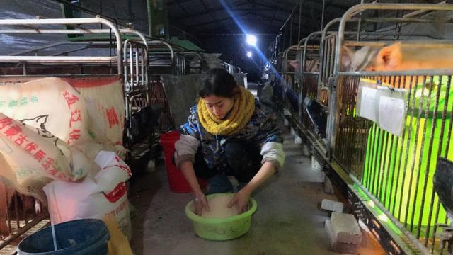 與豬同寢年入百萬