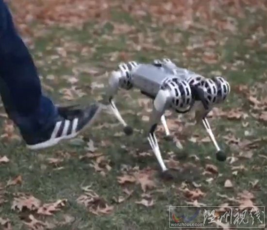 米特的新迷你獵豹機器人
