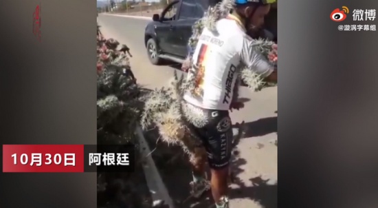 男子騎車(chē)失控摔入仙人掌叢