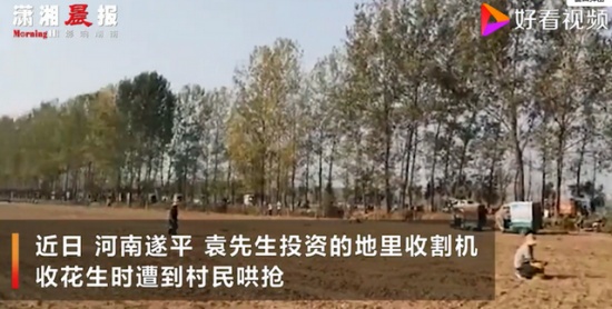 承包商收花生遭數百村民哄搶