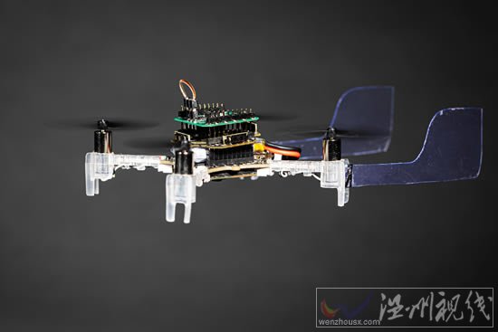 微型無(wú)人機(jī)用真正的飛蛾天線嗅出氣味